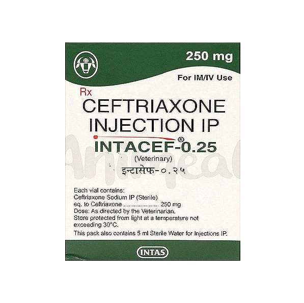 INTACEF Ceftriaxone Injection 0.25 g