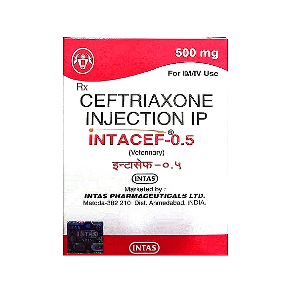 INTACEF Ceftriaxone Injection 0.5 g