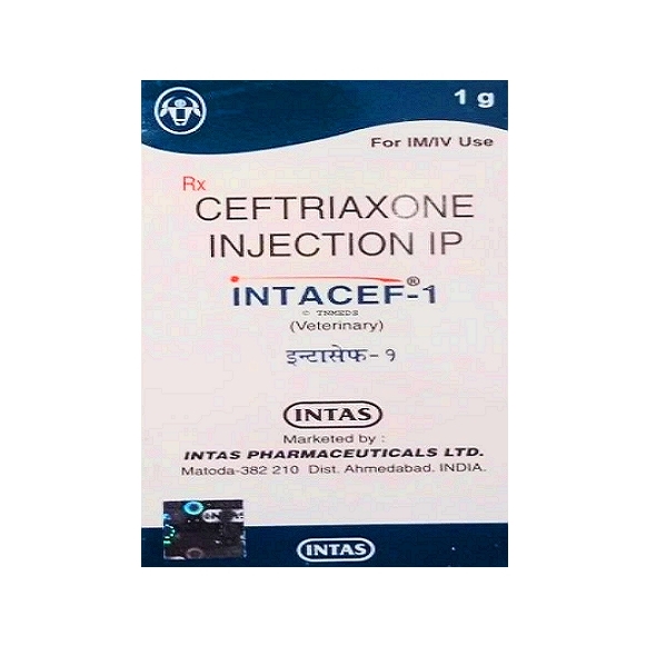 INTACEF Ceftriaxone Injection 1 g