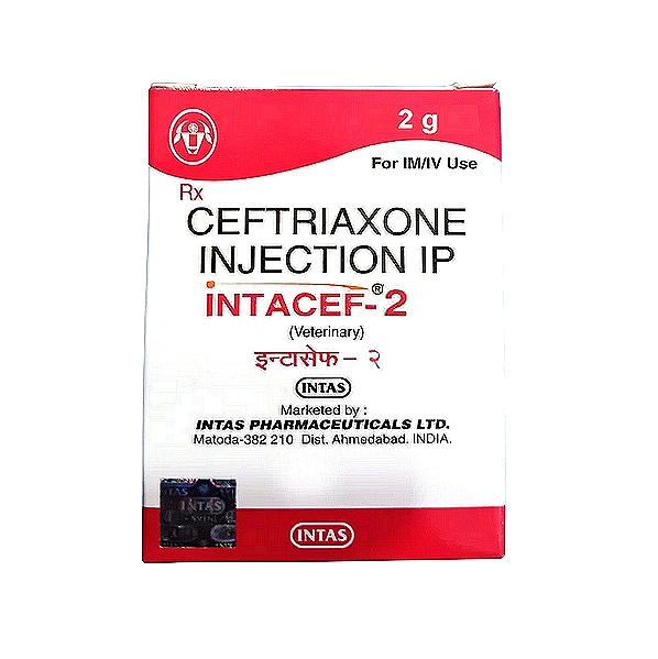 INTACEF Ceftriaxone Injection 2 g