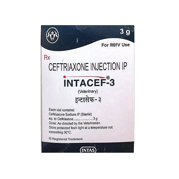 INTACEF Ceftriaxone Injection 3 g