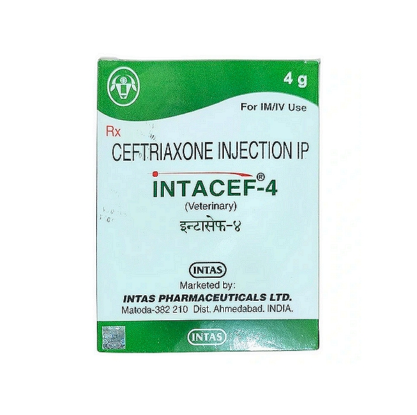 INTACEF Ceftriaxone Injection 4 g