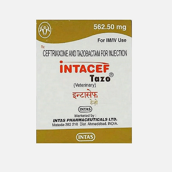 INTACEF TAZO Ceftriaxone & Tazobactam Inj. 562.5 mg
