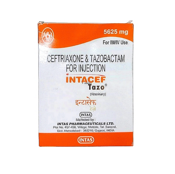 INTACEF TAZO Ceftriaxone & Tazobactam Inj. 5625 mg