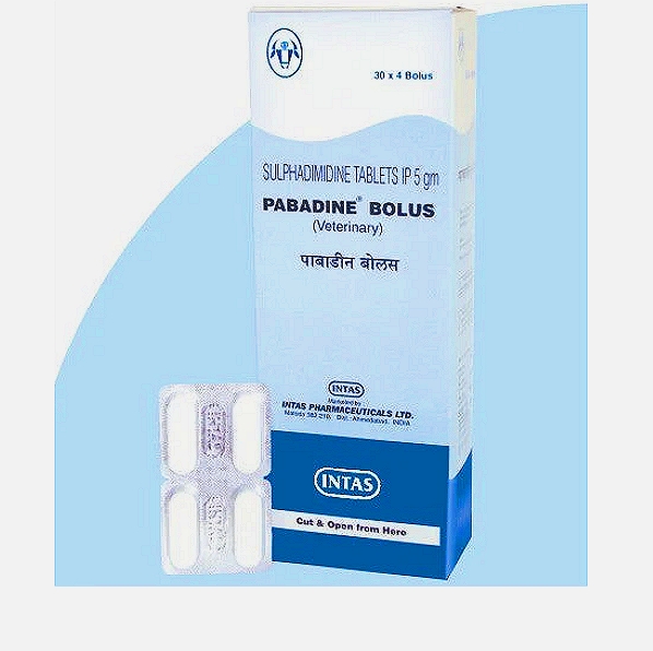 PABADINE Sulfadimidine Bolus